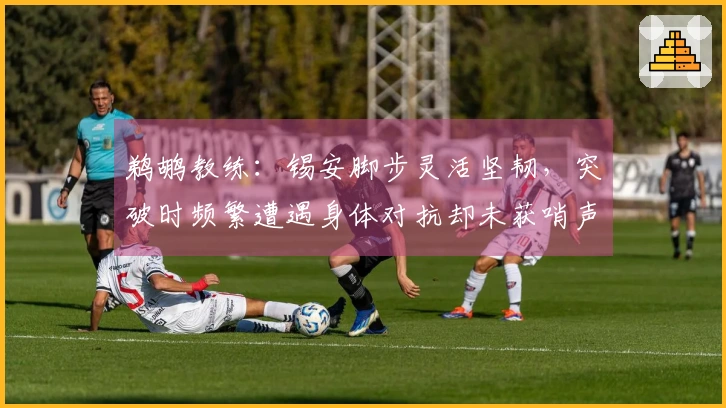 鹈鹕教练：锡安脚步灵活坚韧，突破时频繁遭遇身体对抗却未获哨声